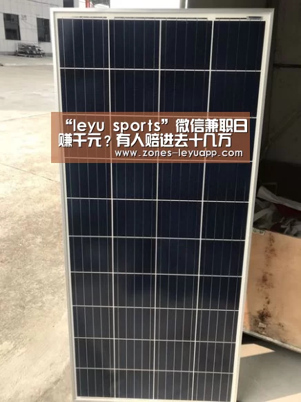 乐鱼体育