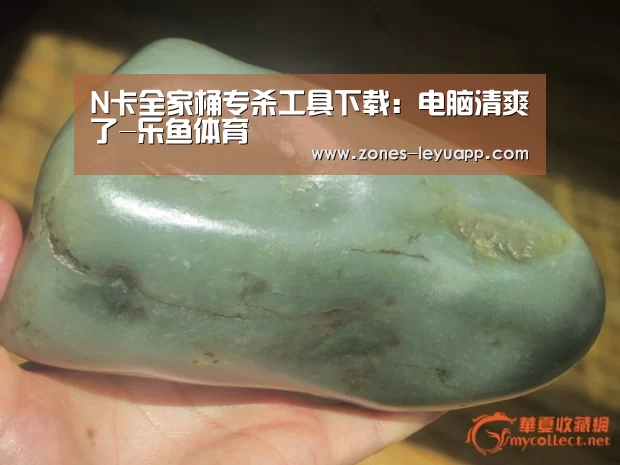 N卡全家桶专杀工具下载:电脑清爽了-乐鱼体育(图1) 登录入口