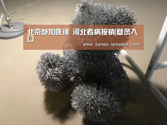 北京参加医保 河北看病报销|登录入口(图1) leyu sports