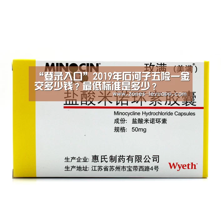 “登录入口”2019年石河子五险一金交多少钱?最低标准是多少?(图3) 乐鱼体育