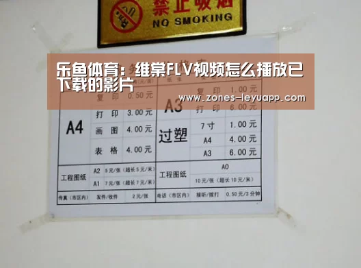 乐鱼体育:维棠FLV视频怎么播放已下载的影片(图2) 登录入口