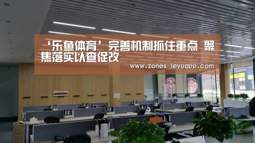 ‘乐鱼体育’完善机制抓住重点 聚焦落实以查促改(图1) leyu sports