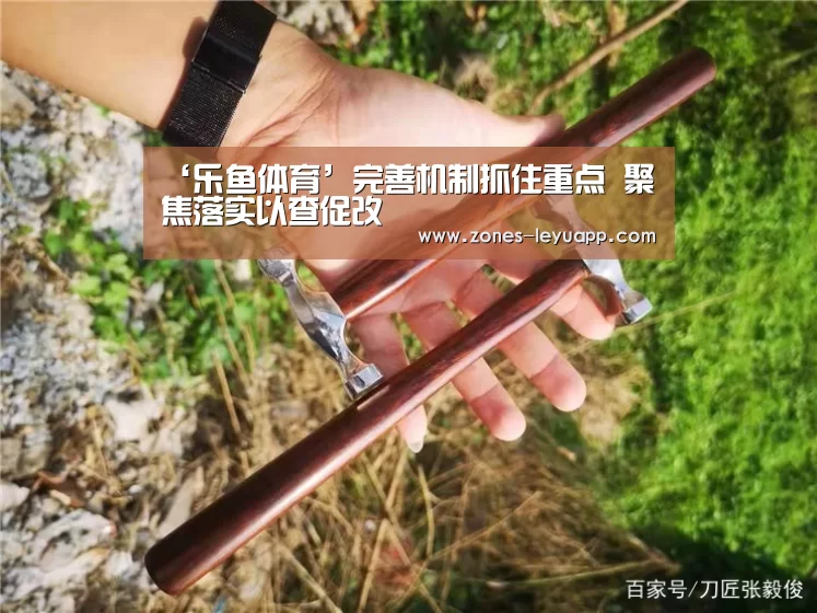 ‘乐鱼体育’完善机制抓住重点 聚焦落实以查促改(图2) leyu sports