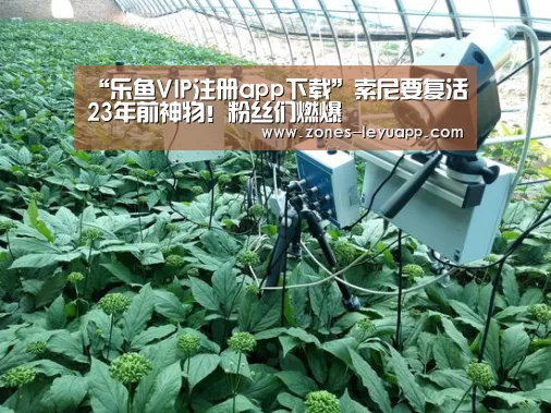 乐鱼体育