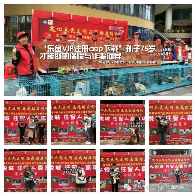 登录入口